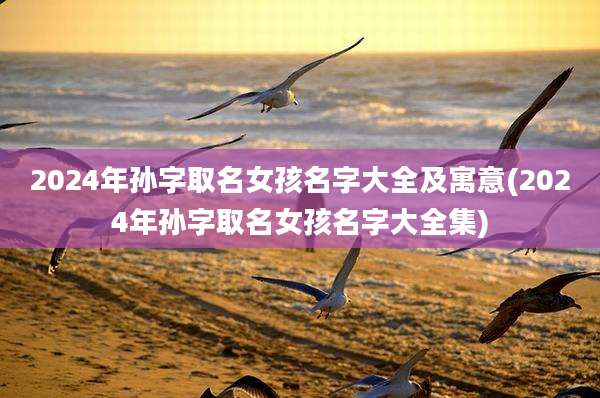 2024年孙字取名女孩名字大全及寓意(2024年孙字取名女孩名字大全集)