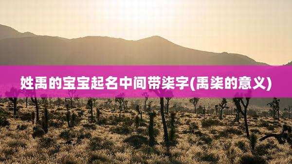 姓禹的宝宝起名中间带柒字(禹柒的意义)