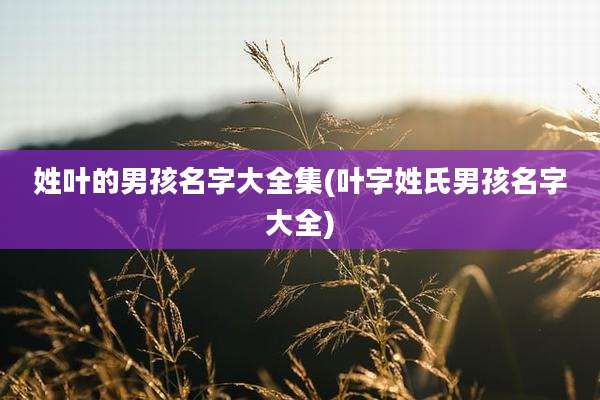 姓叶的男孩名字大全集(叶字姓氏男孩名字大全)