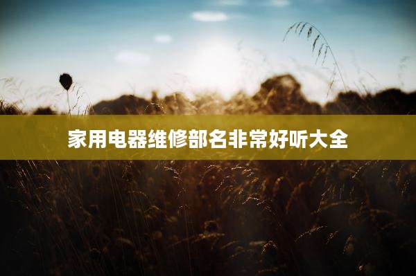 家用电器维修部名非常好听大全