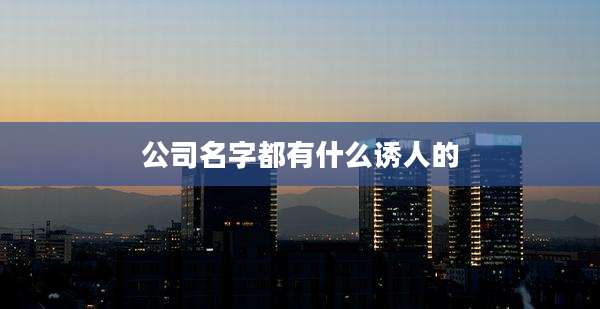 公司名字都有什么诱人的