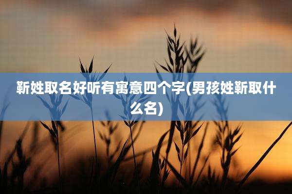 靳姓取名好听有寓意四个字(男孩姓靳取什么名)