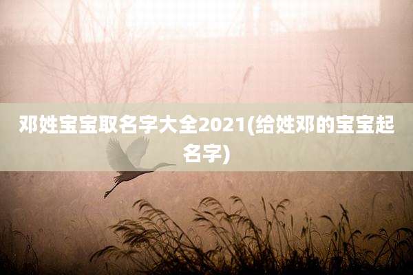邓姓宝宝取名字大全2021(给姓邓的宝宝起名字)