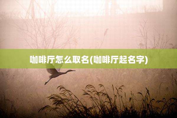 咖啡厅怎么取名(咖啡厅起名字)