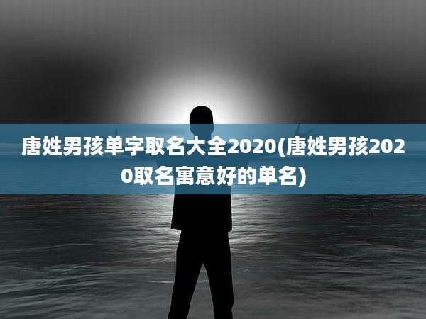 唐姓男孩单字取名大全2020(唐姓男孩2020取名寓意好的单名)