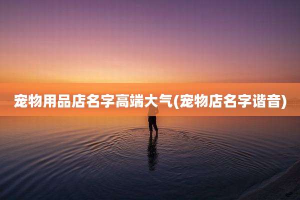 宠物用品店名字高端大气(宠物店名字谐音)