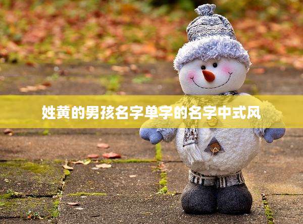 姓黄的男孩名字单字的名字中式风