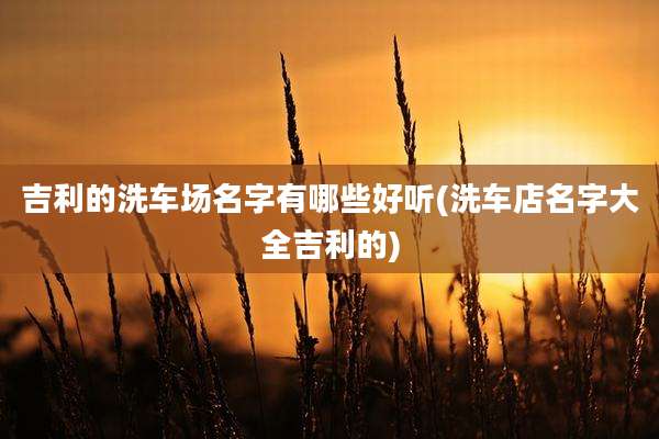 吉利的洗车场名字有哪些好听(洗车店名字大全吉利的)