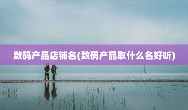 数码产品店铺名(数码产品取什么名好听)