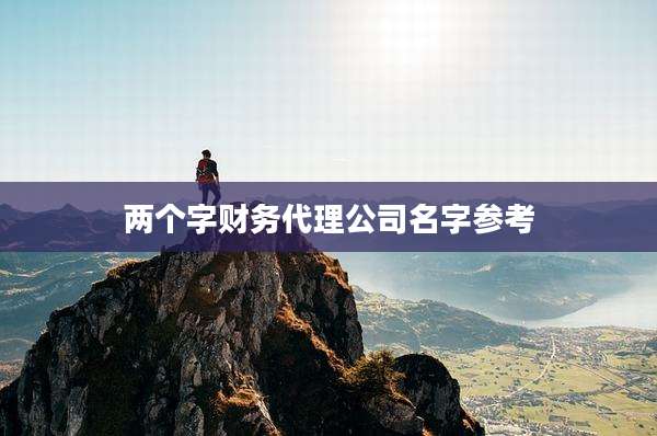 两个字财务代理公司名字参考