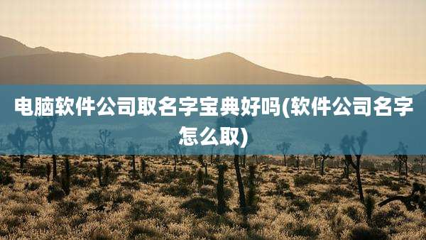 电脑软件公司取名字宝典好吗(软件公司名字怎么取)