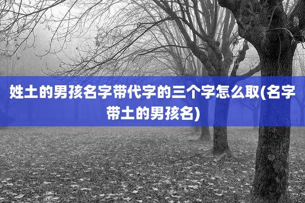 姓土的男孩名字带代字的三个字怎么取(名字带土的男孩名)