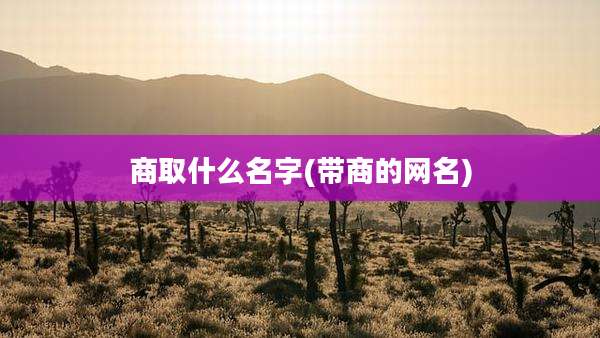 商取什么名字(带商的网名)