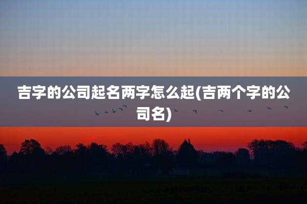 吉字的公司起名两字怎么起(吉两个字的公司名)