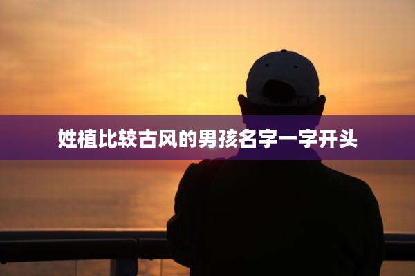 姓植比较古风的男孩名字一字开头
