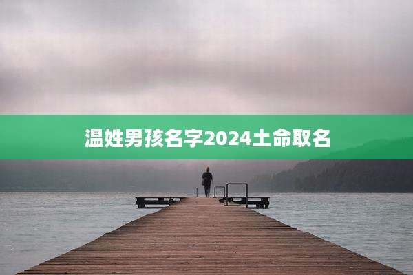 温姓男孩名字2024土命取名