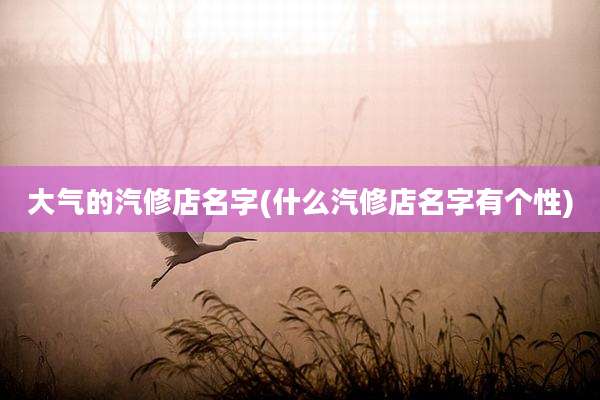 大气的汽修店名字(什么汽修店名字有个性)