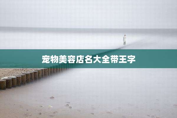 宠物美容店名大全带王字