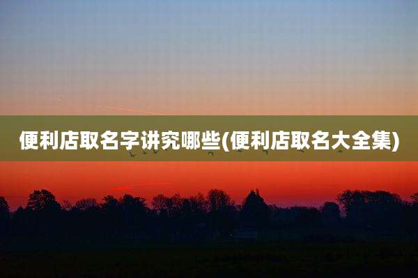 便利店取名字讲究哪些(便利店取名大全集)