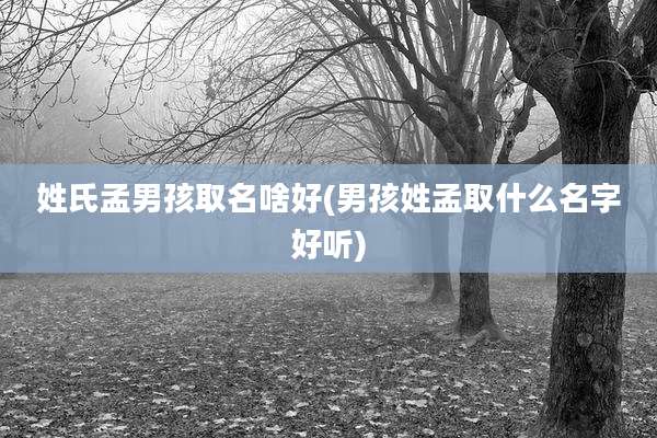 姓氏孟男孩取名啥好(男孩姓孟取什么名字好听)