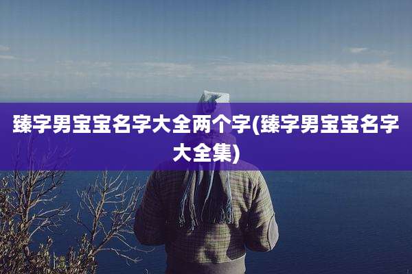 臻字男宝宝名字大全两个字(臻字男宝宝名字大全集)