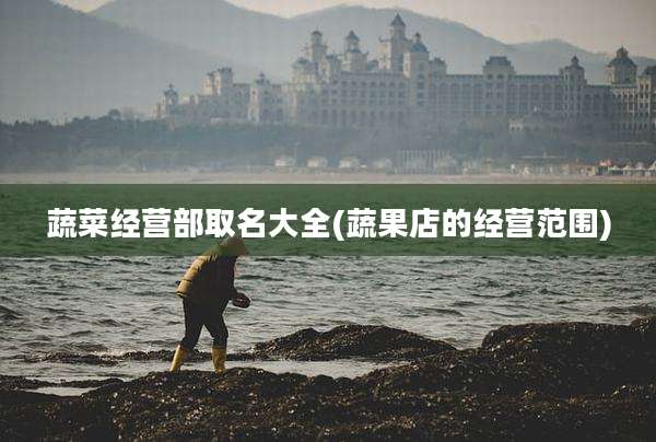 蔬菜经营部取名大全(蔬果店的经营范围)