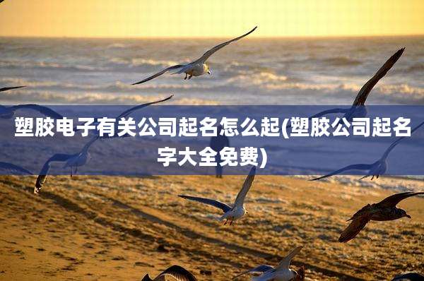 塑胶电子有关公司起名怎么起(塑胶公司起名字大全免费)