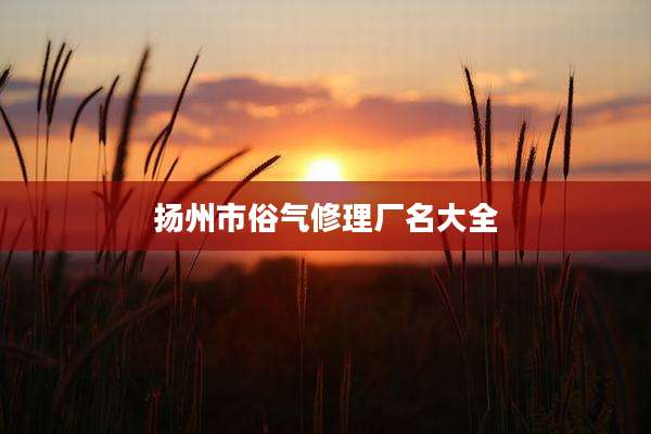 扬州市俗气修理厂名大全