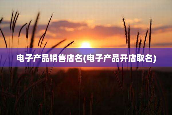 电子产品销售店名(电子产品开店取名)