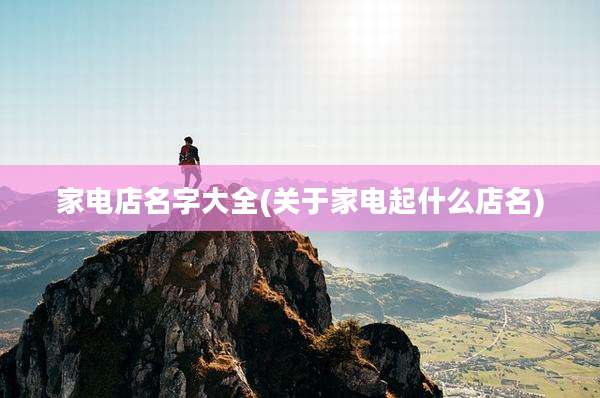 家电店名字大全(关于家电起什么店名)