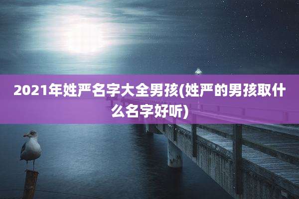 2021年姓严名字大全男孩(姓严的男孩取什么名字好听)