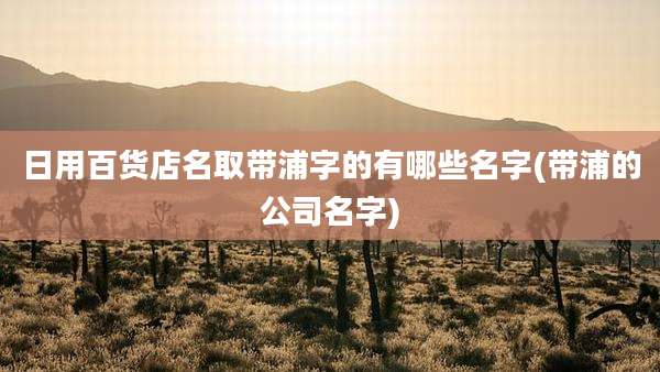 日用百货店名取带浦字的有哪些名字(带浦的公司名字)