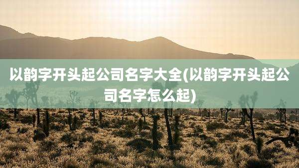 以韵字开头起公司名字大全(以韵字开头起公司名字怎么起)