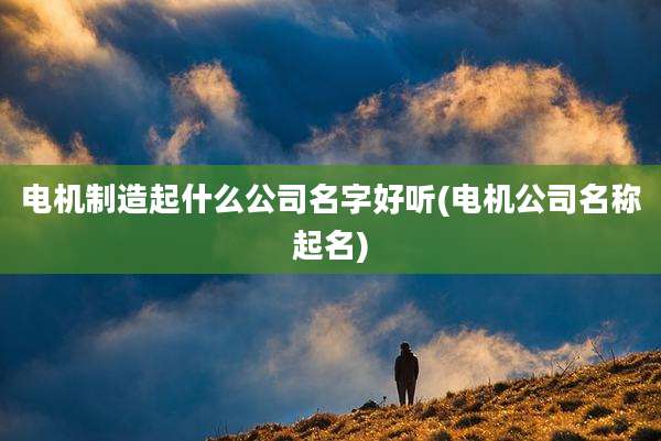 电机制造起什么公司名字好听(电机公司名称起名)