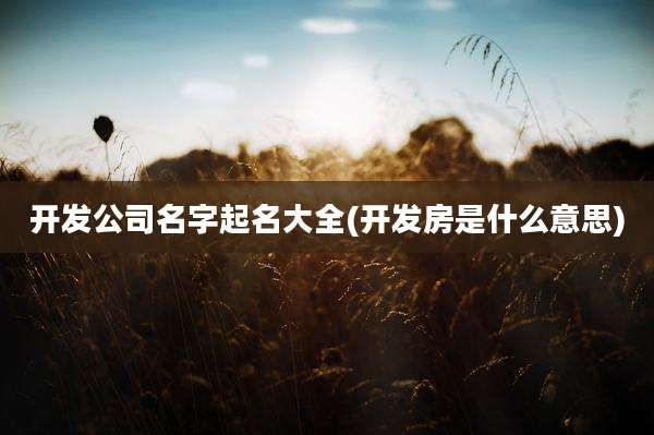 开发公司名字起名大全(开发房是什么意思)