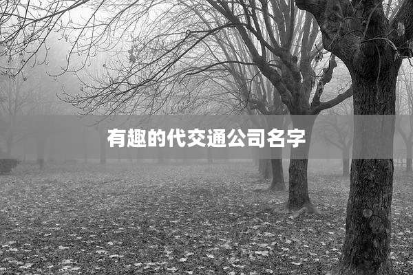 有趣的代交通公司名字