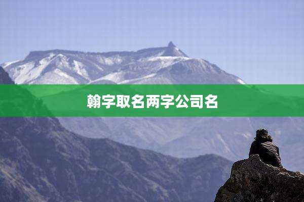 翰字取名两字公司名