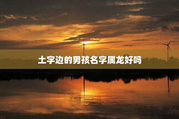 土字边的男孩名字属龙好吗
