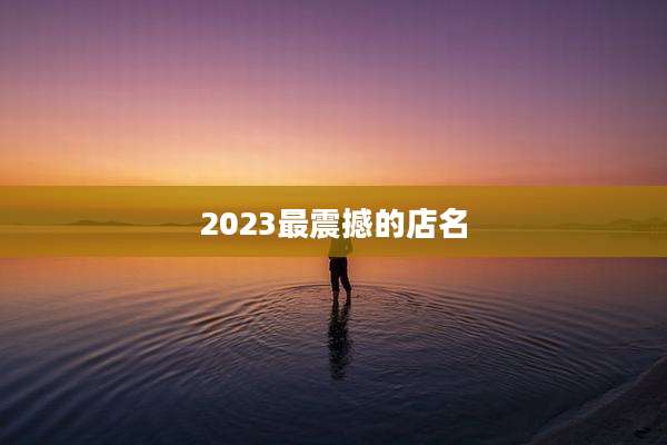 2023最震撼的店名