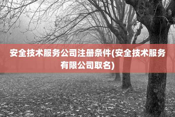 安全技术服务公司注册条件(安全技术服务有限公司取名)