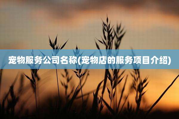 宠物服务公司名称(宠物店的服务项目介绍)