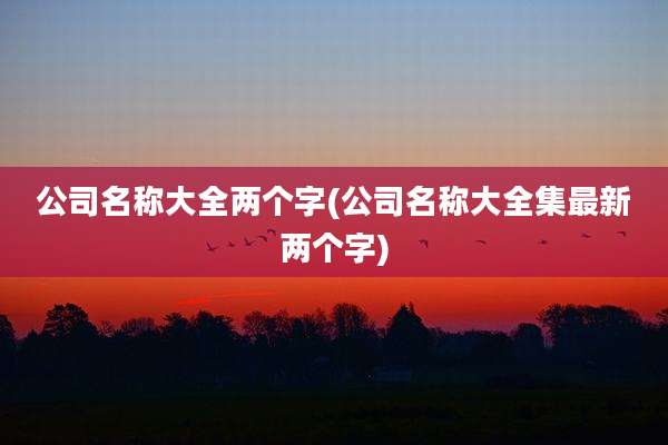 公司名称大全两个字(公司名称大全集最新两个字)