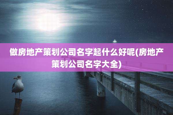 做房地产策划公司名字起什么好呢(房地产策划公司名字大全)