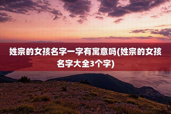 姓宗的女孩名字一字有寓意吗(姓宗的女孩名字大全3个字)