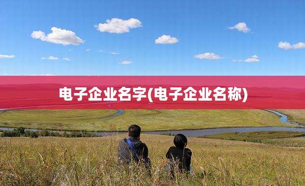 电子企业名字(电子企业名称)