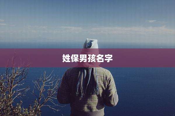 姓保男孩名字