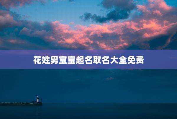 花姓男宝宝起名取名大全免费