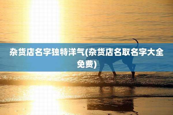 杂货店名字独特洋气(杂货店名取名字大全免费)