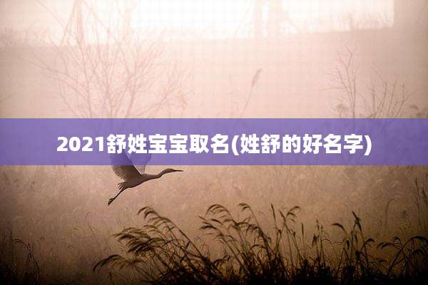 2021舒姓宝宝取名(姓舒的好名字)