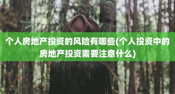 个人房地产投资的风险有哪些(个人投资中的房地产投资需要注意什么)